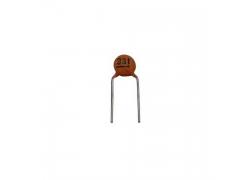 Ceramic Capacitor 100pF RM5