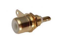 Cinch EB-Bu. witte verguld soldeer