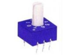 Codeswitch 10 pin shank with