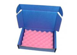 Safeshield IC-Transportbox 178x127x38mm