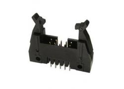 Wannenstecker 10 pol gerade Riegel