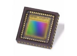 Teledyne 1.3 Mpixels Black White CMOS Sensor EV76C560ABT-EQV